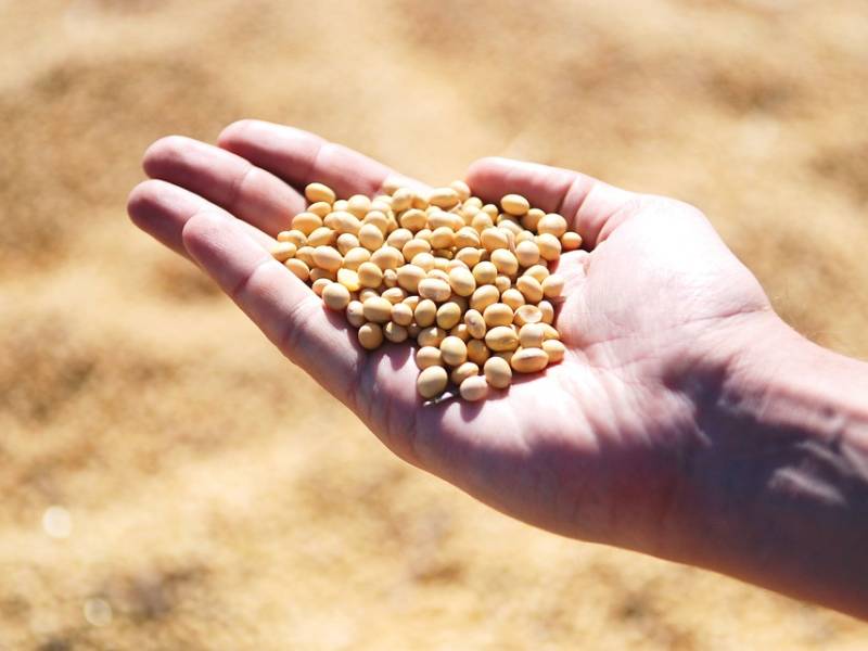 How does our food get produced?
