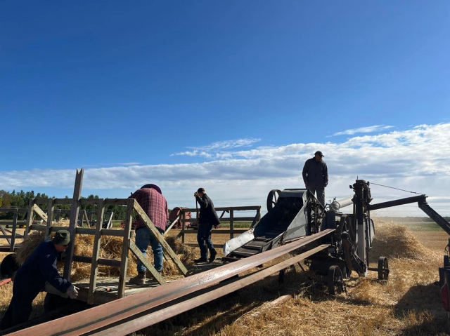 Threshing_Demonstration.jpg