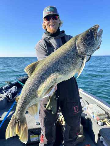 bigfish
