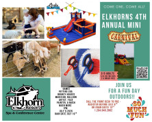 4th Annual Mini carnival.jpg