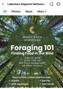 Ashern Foraging.jpg