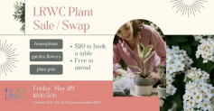 Ashern Plant Sale and Swap.jpg
