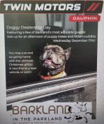 Barkland pets at Twin Motors.jpg