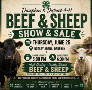 Beef and Sheep Sale.jpg