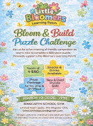 Binscarth Puzzle Challenge.jpg