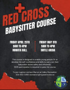 Birtle Babystters Course.jpg