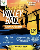 Birtle Canada Day Baech Volleyball.jpg