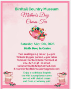 Birtle Mothers day Tea.jpg