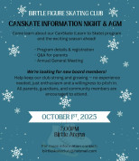 Birttle Can Skate Info Night at AGM.jpg
