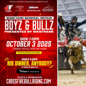 Boyz and Bulls.jpg