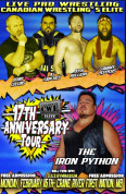 CWE Poster.jpg