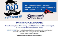 Dad Jokes Graphic for Fathers Day.jpg