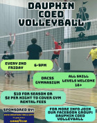 Dauphin Coed Volleyball.jpg