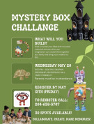 Dauphin Friendship Centre Mystery Box Challenge.jpg