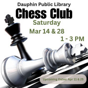 Dauphin Library Chess Club.jpg