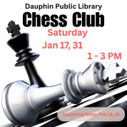 Dauphin Librray Chess Club.jpg