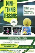 Dauphin mini tennis lessons.jpg