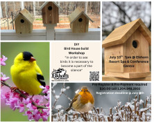 DYI bird House build Workshop.jpg