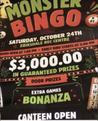 Eriksdale Fundraising BINGO.jpg