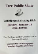 Free Skate Winnipegosis.jpg