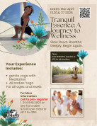Gentle Yoga with maeditaion with Shane Flyer.jpg