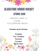 Gladstone Minor Hockey AGM.jpg