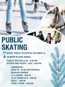 Glbert Plains Public Skating.jpg