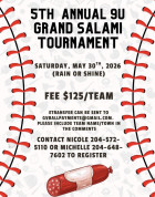 Grandview Minor Baseball tournament.jpg