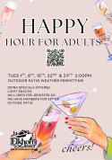 Hour for adults 2024 .jpg