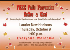 Lauruer Free Falls Prevention.jpg