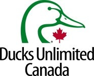 logoImage.jpg