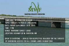 Manitoba Wildlife Meeting at the Narrows.jpg