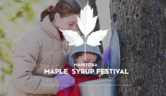 Maple Syrup Tree Taping .jpg