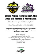 Minor Hockey Provincials in Grandview.jpg