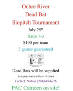 Ochre River Dead Bat Ball Tournament.jpg