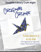 Oragami at the Dauphin Library.jpg