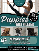 Parkland Humane Socitey Pilates Fundraiser.jpg