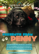 Pennies for Penny Fundraiser.jpg