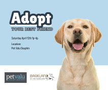 Pet Adoption Event.jpg