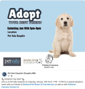 Pet Adoption Event at Pet Valu Dauphin.jpg
