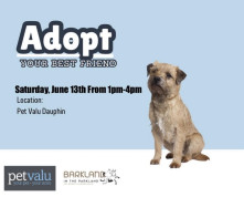 Pet Valu Pet Adoption Dauphin Event.jpg