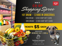 PHS Raffle.jpg