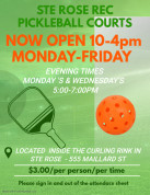 Pickleball Ste.Rose.jpg