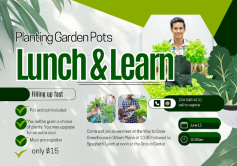 Planting Garden pots.png