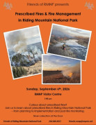 RMNP Session.jpg