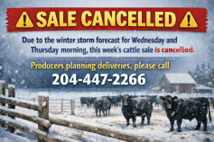 Sale cancelled due to storm.png