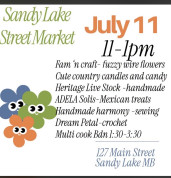 Sandy Lake Street Market.jpg