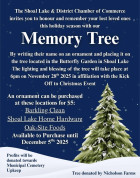 Shoal Lake memory tree.jpg