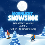 Snowshoe.jpg
