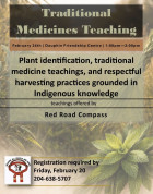 Traditional Medicines Teachings at the Dauphin Friendship Centre.jpg